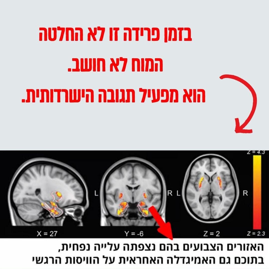 מחקר: כאב פרידה מפעיל את אותם אזורים במוח כמו כאב פיזי